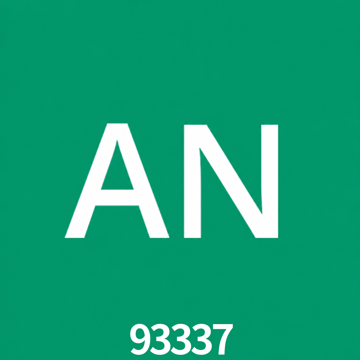 Adi Nugroho - Founder & CEO 93337 Indonesia